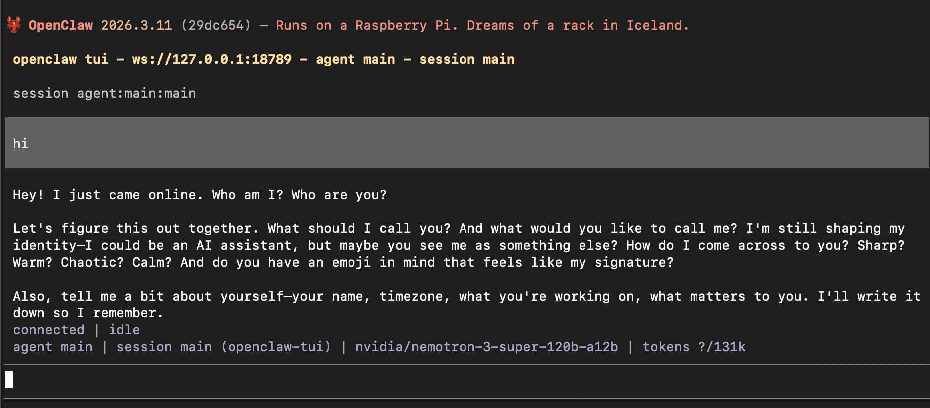 OpenClaw TUI running inside the NemoClaw sandbox, chatting with the agent