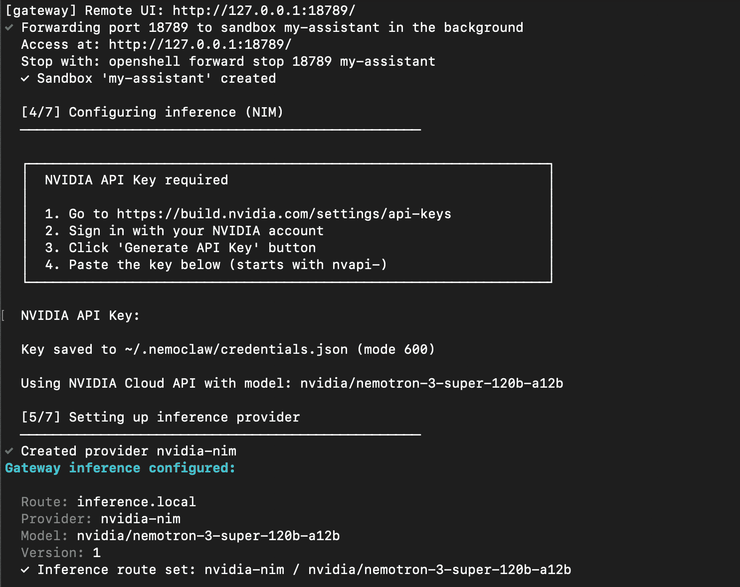 NemoClaw inference setup prompting for NVIDIA API key