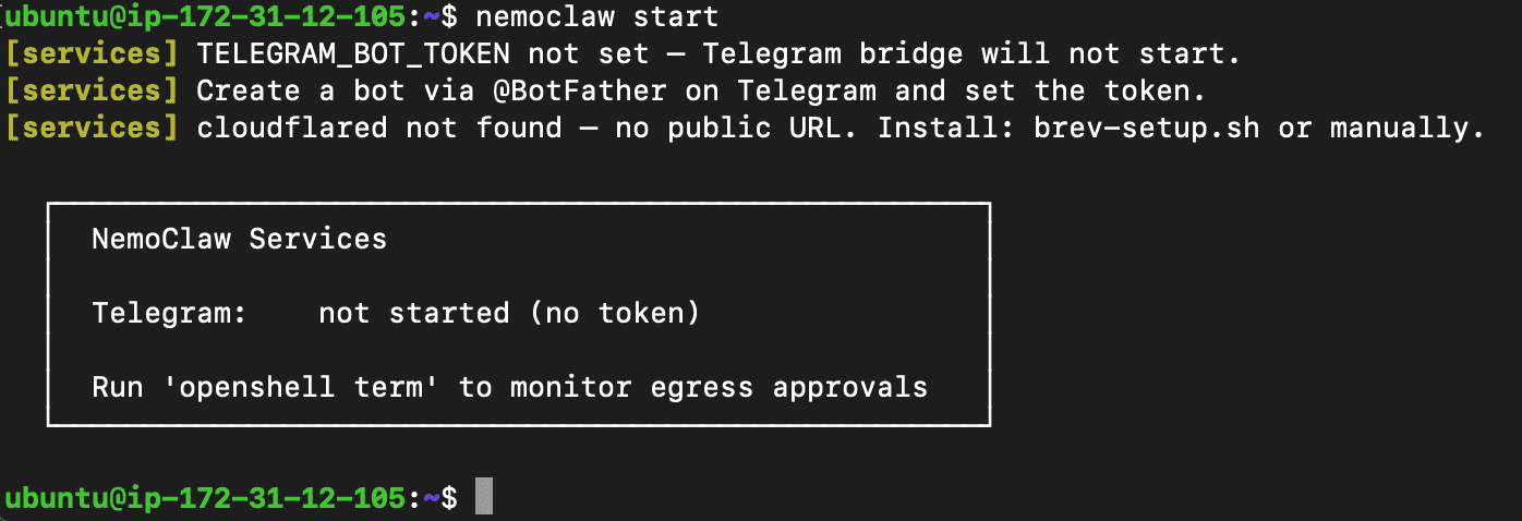 nemoclaw start output showing Telegram bridge and cloudflared as the only available services